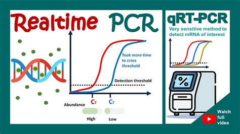 Qpcr Qrt Pcr Real Time Quantitative Pcr In 1 Minute Biotechniques