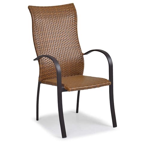 45 list list price $58.65 $ 58. WaterMark Living Resin Wicker High Back Dining Chair