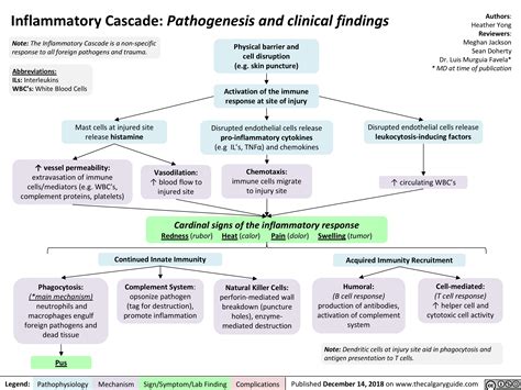 Inflammatory Cascade Pathogenesis And Clinical Findings Calgary Guide