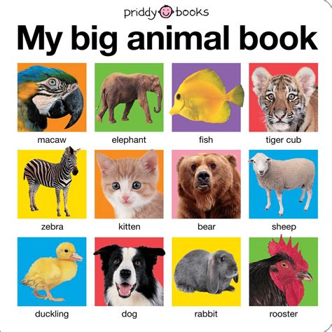 My Big Animal Book Roger Priddy Macmillan
