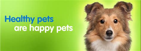 At happy pets animal hospital we understand the importance of having a professional veterinary team you can trust with your pets care. Currumbin Fair Veterinary Surgery