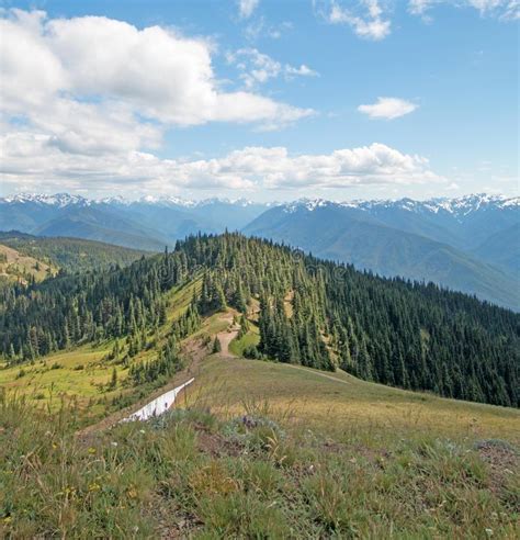 Hurricane Hill Ridge In Olympic National Park In