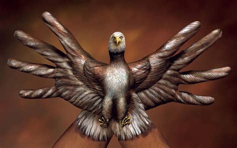 Wallpaper Drawing Bird Of Prey Eagle Beak Falcon Art Hand Wing Vertebrate Close Up