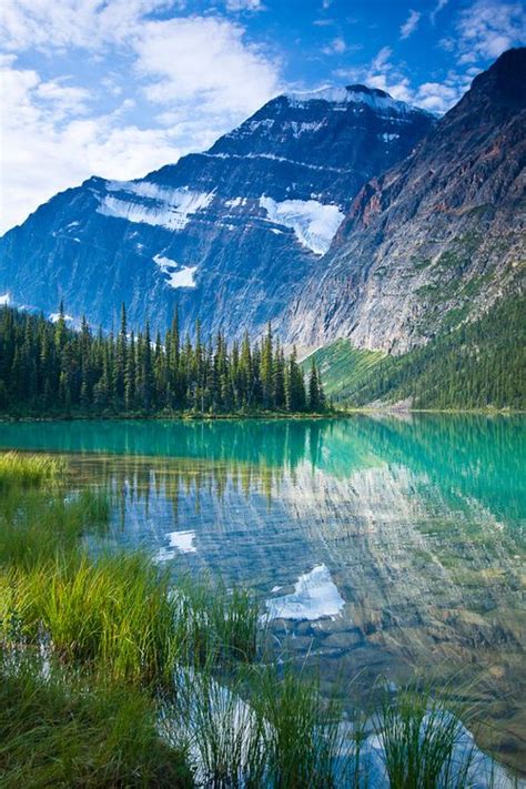 Cavell Lake Jasper National Park Alberta Canada By Jerry Mercier