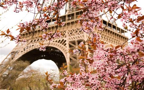Blooming Paris Where To See Spring Flowers In Paris Paris Perfect