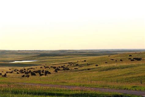 12 Photos Of The Beautiful South Dakota Countryside