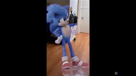 Top 4 Sonic In Real Life Youtube