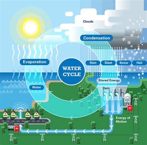 Water Cycle Infographic On Behance