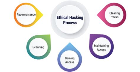 Phases Of Ethical Hacking A Complete Guide To The Process