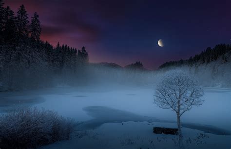 Nature Landscape Mist Lake Snow Forest Moon Shrubs Trees Frost Hill Norway Moonlight