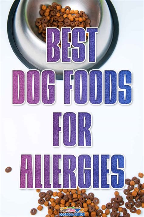 12 Best Dog Food For Allergies January 2024 Review And Guide