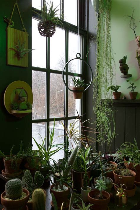 Lush Living Green Interiors Indoor Plants Houseplants