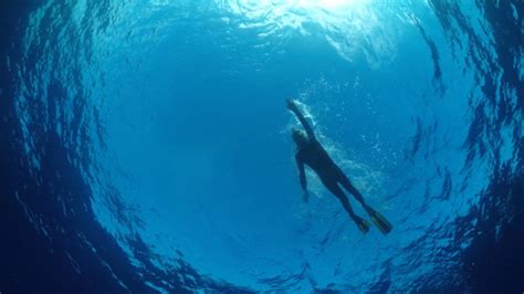 Swimmer swims in the sea. There Is Plastic 'Everywhere,' Says Guy Swimming Across ...