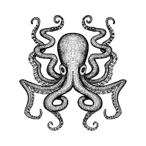 Octopus Drawing Octopus Tattoo Design Octopus Tattoos Octopus