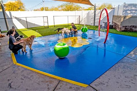When gary and karen pryor introduced clicker training to dog trainers, he had already clicker trained more than 1,000 dogs, primarily by veterinary referral. Overnight Dog Training Camp in Gilbert AZ | Paw Commons ...