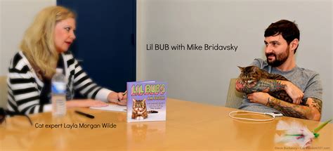 celebrity cat lil bub spills some secrets to a cat expert huffpost
