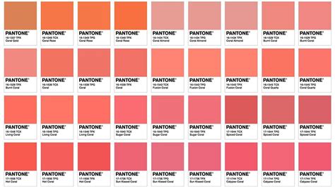 Pantone Kleur Is Bekend Living Coral Rouge L Vres Corail