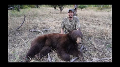 Washington State Black Bear Hunt 2 Bears Down Youtube