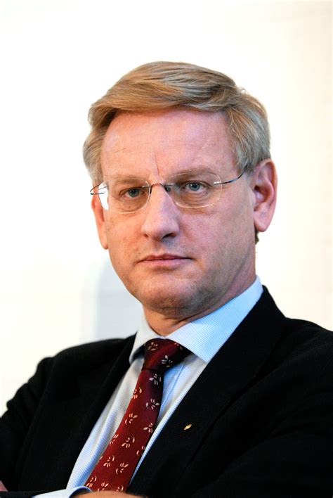Domestic affairs through the 1990s: File:Carl Bildt, utrikesminister Sverige under pressmote vid Nordiska radets session i Kopenhamn ...