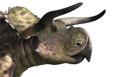 Nasutoceratops Stock Illustrations Vecteurs And Clipart 27 Stock