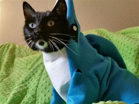 Left Shark Cat Cosplay Shark Week Feline Travel Pillow Appearance