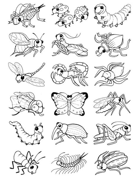 Simple Bugs And Insects Coloring Pages For Kids Coloring Pages Free
