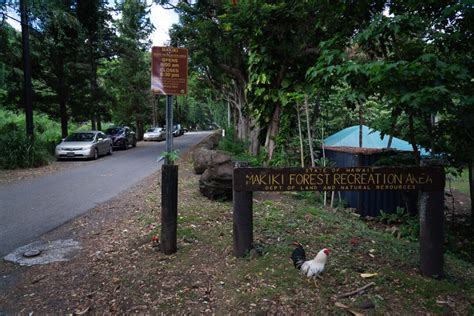 Makiki Valley Loop Trail On Oahu Hawaii