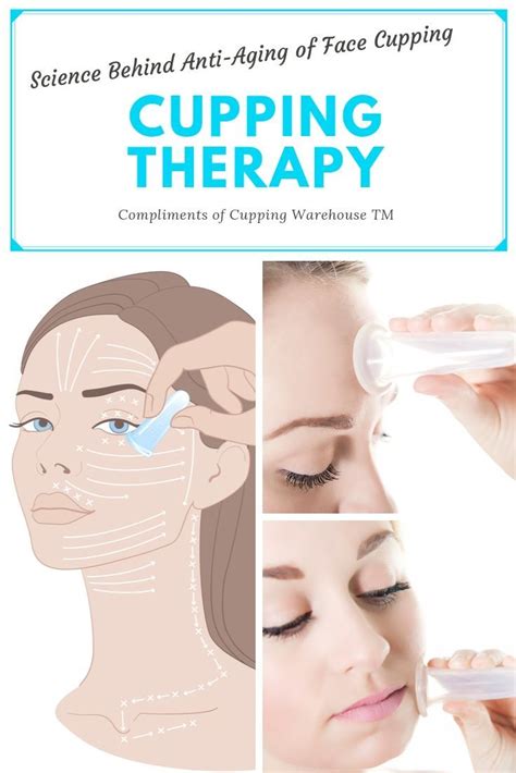 The Science Behind The Anti Aging Effects Of Facial Cupping Facial Cupping Cupping Therapy