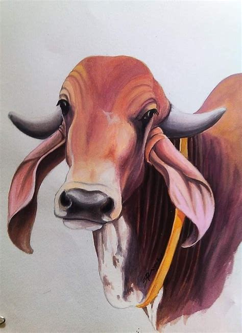 Gir Cow Painting Cow Painting Cow Sketch Horse Canvas Painting