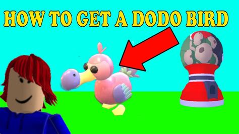 How To Get A Dodo Bird Roblox Adopt Me Youtube
