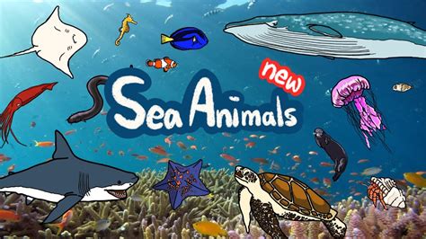 New Sea Animals What Kind Of Animals Lives Under The Sea Kids Draw