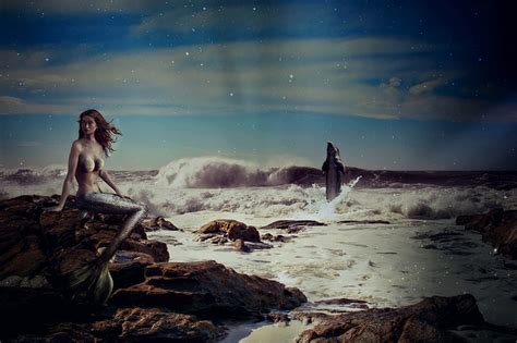 Royalty Free Photo Mermaid Sitting On Rocks Near Body Of Water Pickpik