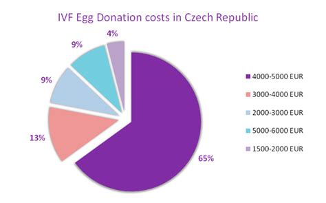 Costs Of Ivf Egg Donation In Czech Republic