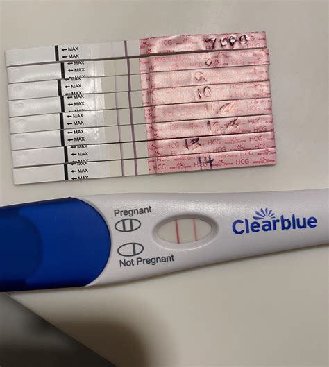 14 Dpo Easy At Home And Clearblue Early Detection Looks Like My Easy