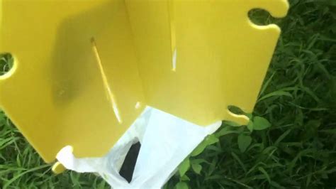 Asian Beetle Trap Youtube