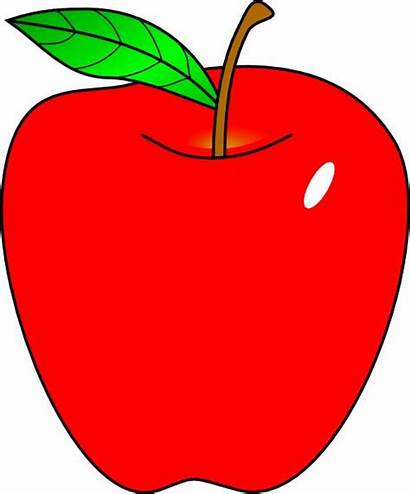 Apple Clip Clipart Cartoon Apples Teacher Carton