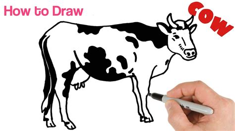 How To Draw A Cow Easy Drawing Step By Step Youtube