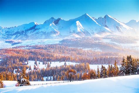 Winter Mountain Landscape Clear Blue Sky Over Snowy Mountain Peaks In