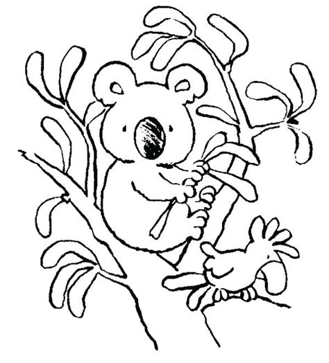 Koala bear coloring page zendangle art printable by. Baby Koala Coloring Pages at GetDrawings | Free download