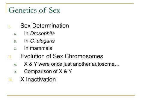 Ppt Genetics Of Sex Powerpoint Presentation Free Download Id6783477