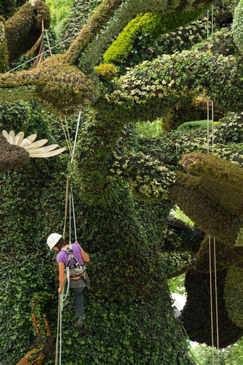 Living Plant Sculptures At The Montreal Botanical Gardens Urban