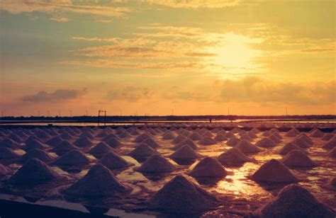 Salt Farm Stock Photos Pictures And Royalty Free Images Istock