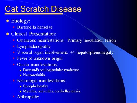 Cat Scratch Disease Antibiotics