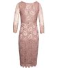 Anya Lace Occasion Dress Blush Wedding Dresses Evening Wear And