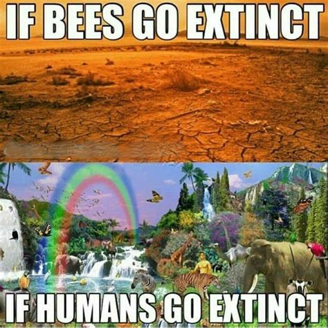 If Bees Go Extinct Save Planet Earth Save Our Earth Earth