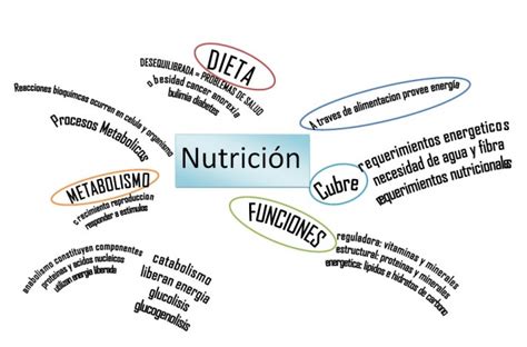 Mapas Mentales Sobre Nutrición Cuadro Comparativo