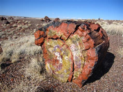 Insiders Guide To Petrified Forest National Park