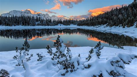 Nature Landscape Winter Mountains Snowy Mountain Trees Forest