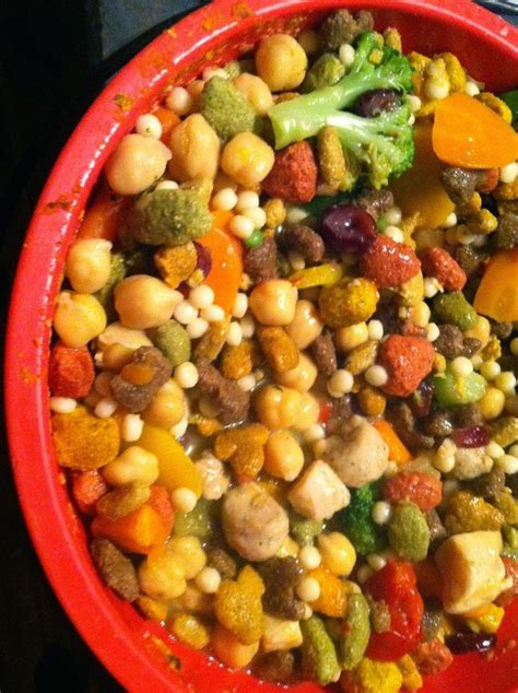 Here is another healthy and safe homemade dog food for diabetic dogs recipe that your pup will love. 30 Best images about Diabetic Dog Recipes on Pinterest | Symptoms diabetes, Diabetic dog and ...