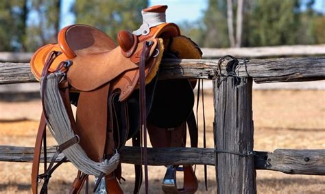 Most Popular Western Saddle Brands Cowboy Lifestyle Network
